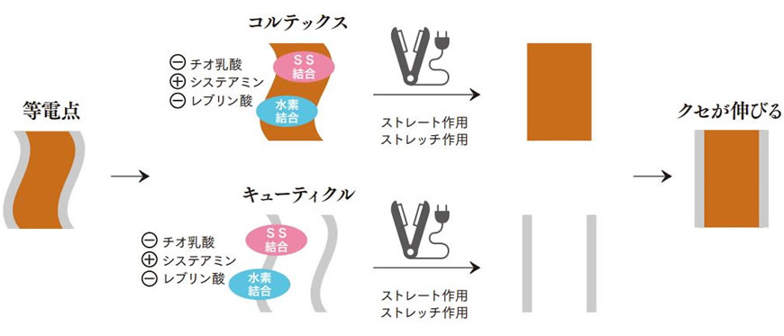 等電点ストレートの特徴